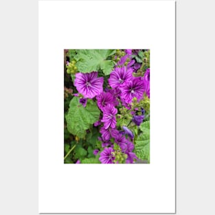 gift for birthday happy birthday beautiful flower Posters and Art